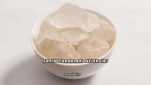 Şapın Zararları Nelerdir?