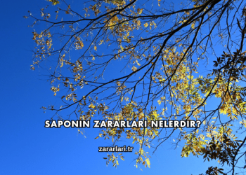 Saponin Zararları Nelerdir?