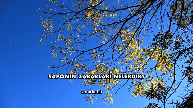 Saponin Zararları Nelerdir?