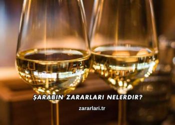 Şarabın Zararları Nelerdir?