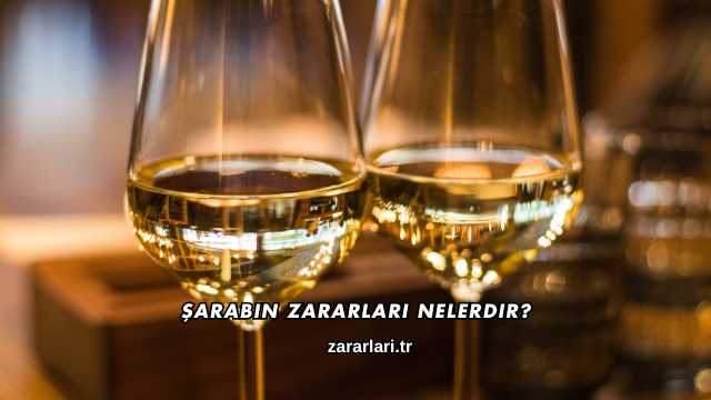 Şarabın Zararları Nelerdir?
