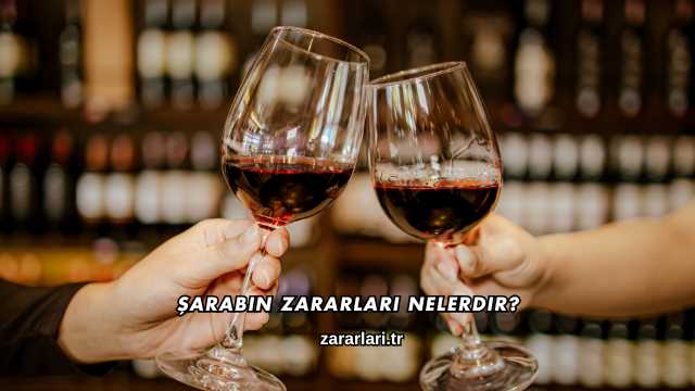 Şarabın Zararları Nelerdir?