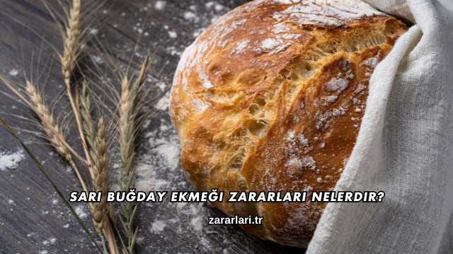 Sarı Buğday Ekmeği Zararları Nelerdir?