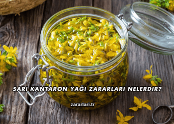 Sarı Kantaron Yağı Zararları Nelerdir?