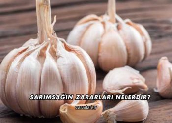 Sarımsağın Zararları Nelerdir?