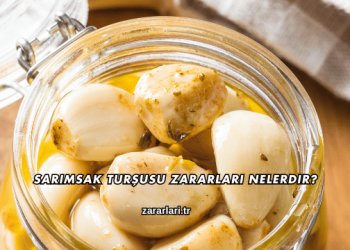 Sarımsak Turşusu Zararları Nelerdir?