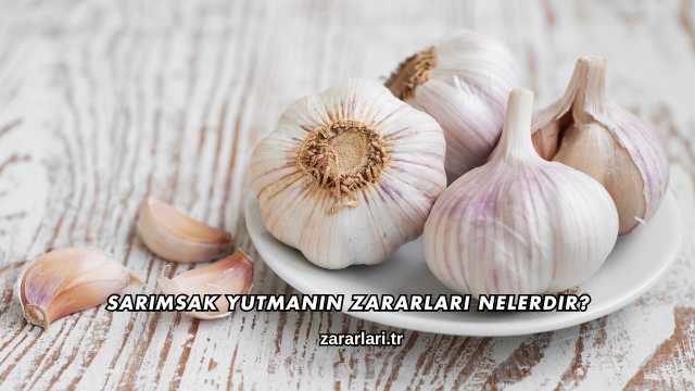 Sarımsak Yutmanın Zararları Nelerdir?
