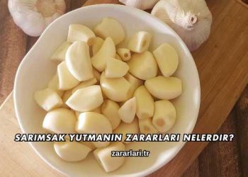 Sarımsak Yutmanın Zararları Nelerdir?