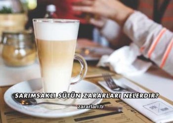 Sarımsaklı Sütün Zararları Nelerdir?