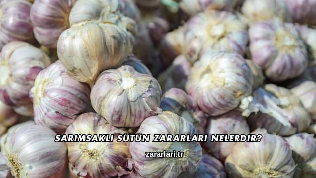 Sarımsaklı Sütün Zararları Nelerdir?