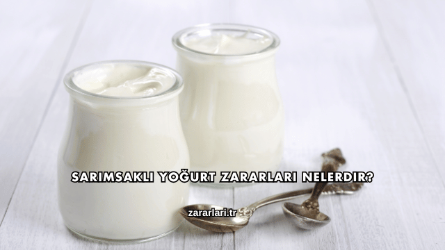 Sarımsaklı Yoğurt Zararları Nelerdir?