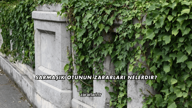 Sarmaşık Otunun Zararları Nelerdir?