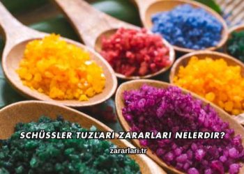 Schüssler Tuzları Zararları Nelerdir?