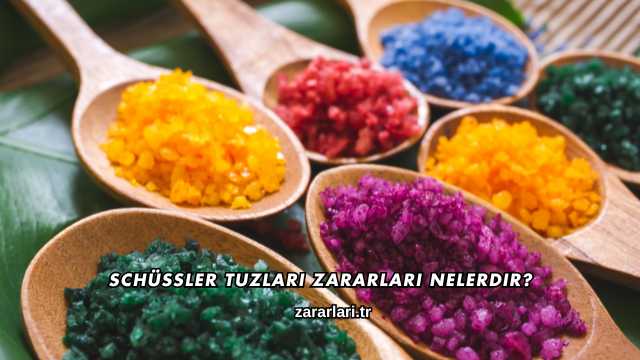 Schüssler Tuzları Zararları Nelerdir?