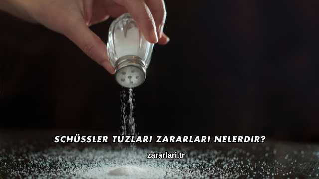 Schüssler Tuzları Zararları Nelerdir?
