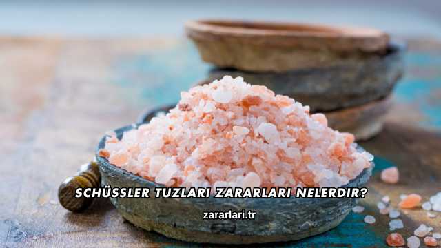 Schüssler Tuzları Zararları Nelerdir?
