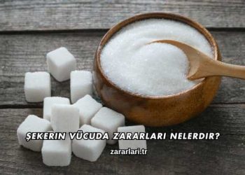Şekerin Vücuda Zararları Nelerdir?