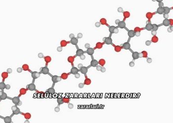 Selüloz Zararları Nelerdir?