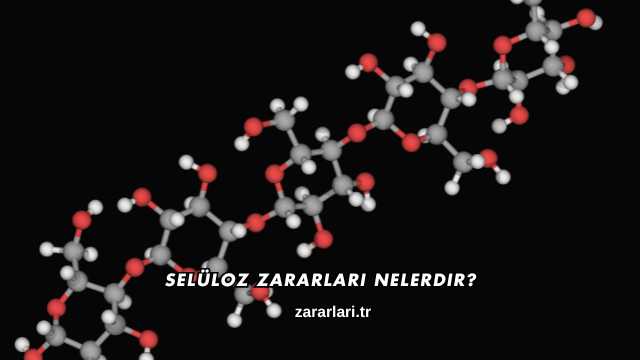 Selüloz Zararları Nelerdir?