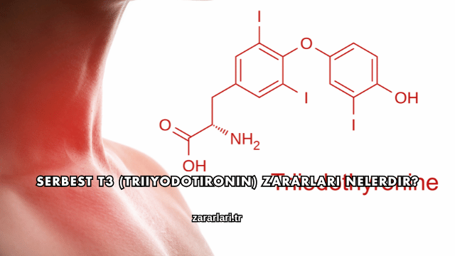 Serbest T3 (Triiyodotironin) Zararları Nelerdir?