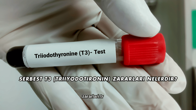 Serbest T3 (Triiyodotironin) Zararları Nelerdir?