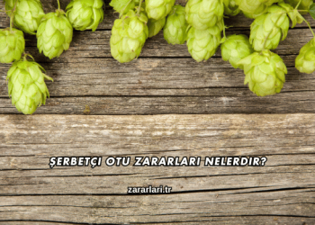Şerbetçi Otu Zararları Nelerdir?