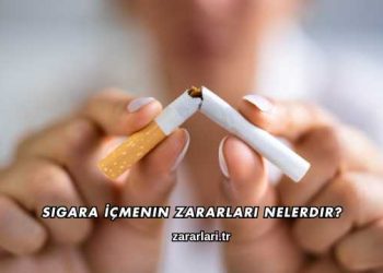 Sigara İçmenin Zararları Nelerdir?