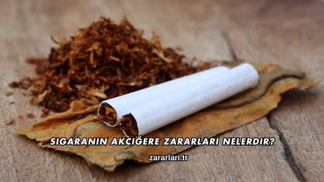 Sigaranın Akciğere Zararları Nelerdir?