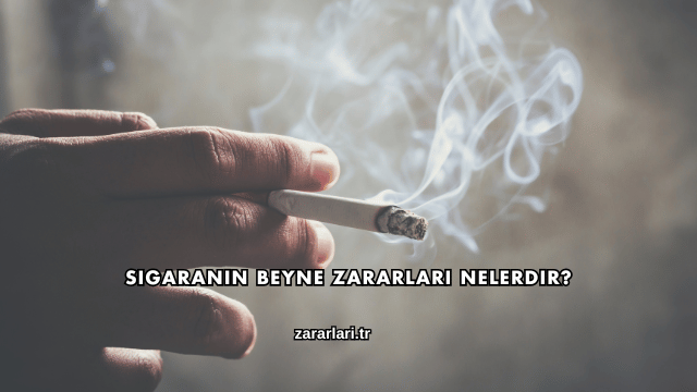 Sigaranın Beyne Zararları Nelerdir?