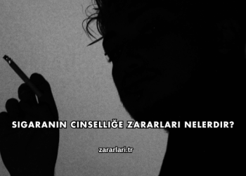 Sigaranın Cinselliğe Zararları Nelerdir?