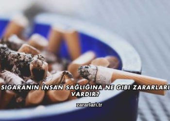 Sigaranın İnsan Sağlığına Ne Gibi Zararları Vardır?