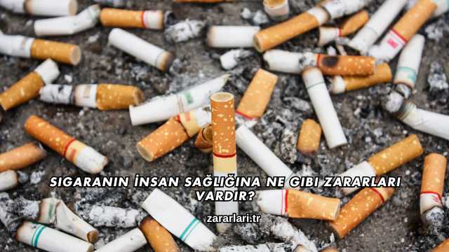 Sigaranın İnsan Sağlığına Ne Gibi Zararları Vardır?