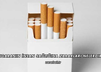 Sigaranın İnsan Sağlığına Zararları Nelerdir?