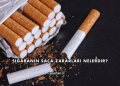 Sigaranın Saça Zararları Nelerdir?