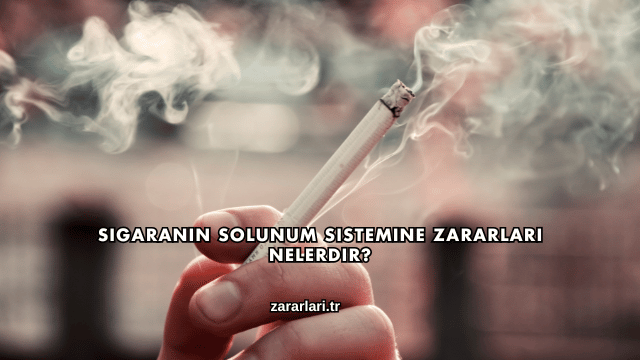 Sigaranın Solunum Sistemine Zararları Nelerdir?