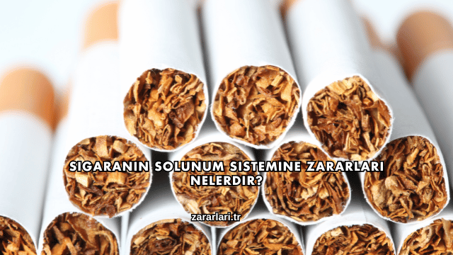 Sigaranın Solunum Sistemine Zararları Nelerdir?