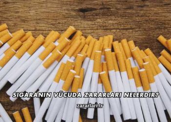 Sigaranın Vücuda Zararları Nelerdir?