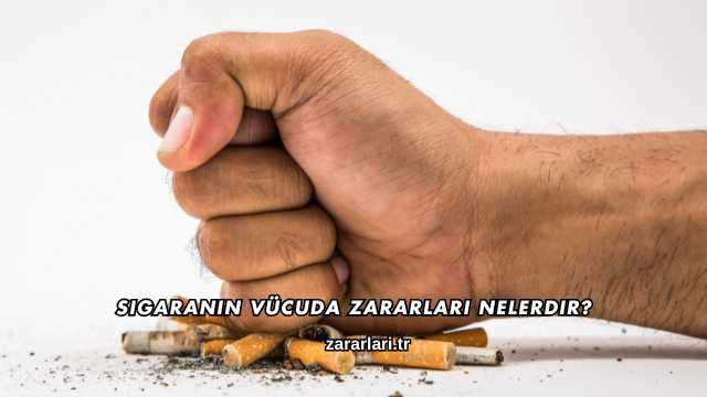 Sigaranın Vücuda Zararları Nelerdir?