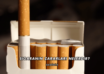 Sigaranın Zararları Nelerdir?
