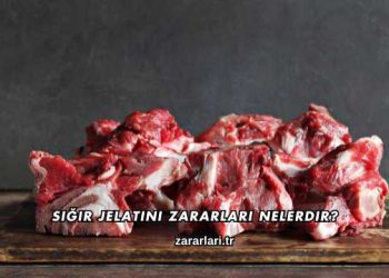 Sığır Jelatini Zararları Nelerdir?