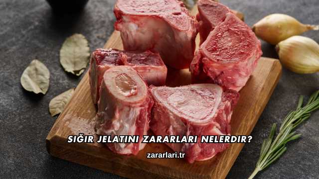 Sığır Jelatini Zararları Nelerdir?