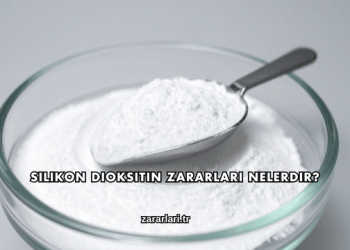 Silikon Dioksitin Zararları Nelerdir?