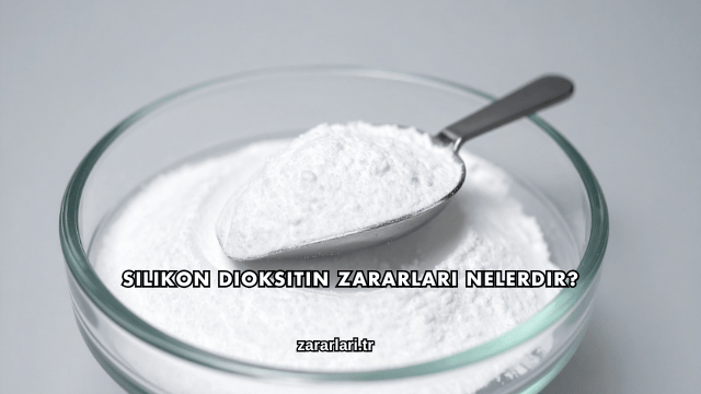 Silikon Dioksitin Zararları Nelerdir?