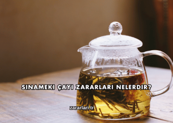 Sinameki Çayı Zararları Nelerdir?