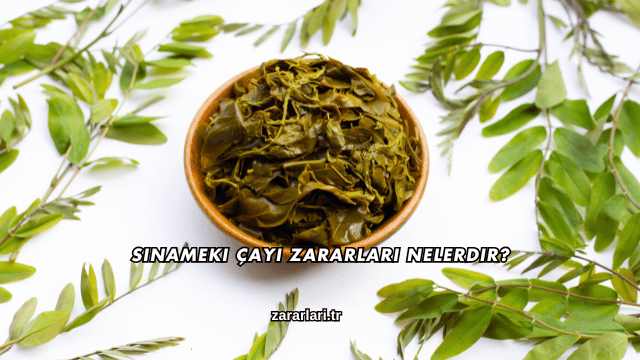 Sinameki Çayı Zararları Nelerdir?