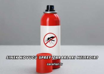 Sinek Kovucu Sprey Zararları Nelerdir?