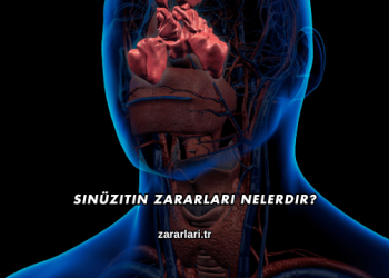 Sinüzitin Zararları Nelerdir?