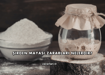 Şirden Mayası Zararları Nelerdir?