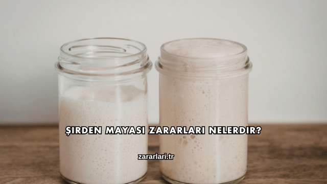 Şirden Mayası Zararları Nelerdir?