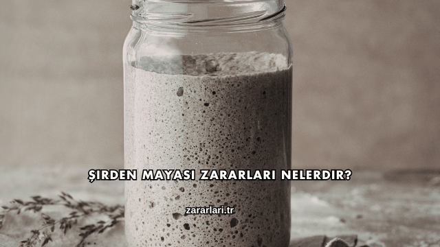Şirden Mayası Zararları Nelerdir?